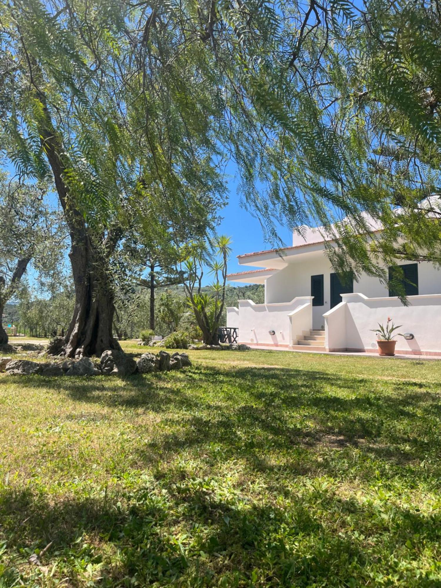 Villa Angela Case Vacanza Весте Екстериор снимка